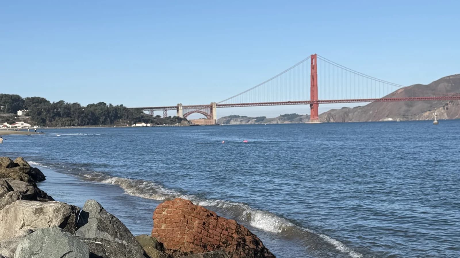 Cover Image for Everyone in San Francisco is locked in