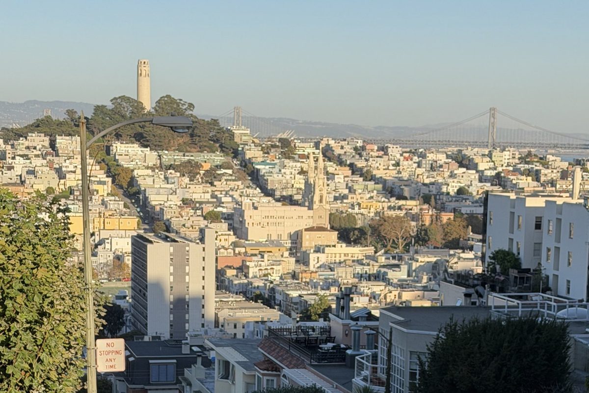 View from Coit Tower